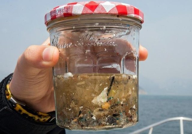 如果知道海洋中的塑料垃圾会进入人类肚子，你还会丢吗？