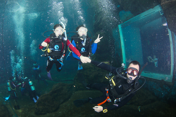 12/12正式上线！PADI 最新课程【休闲潜水员Resort Diver】 丨 一天拿证，潜遍全球