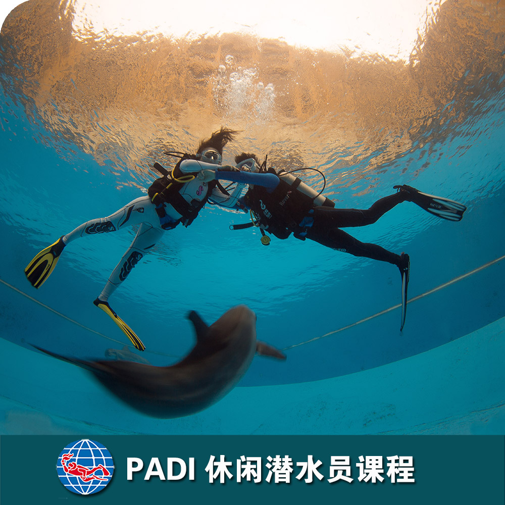 珠海长隆PADI休闲潜水员课程