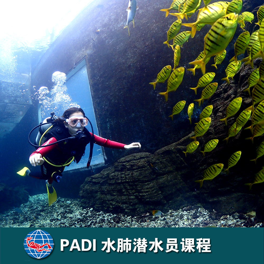 三亚PADI水肺潜水员课程