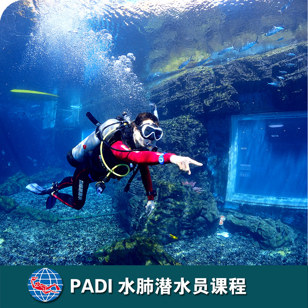 三亚PADI水肺潜水员课程