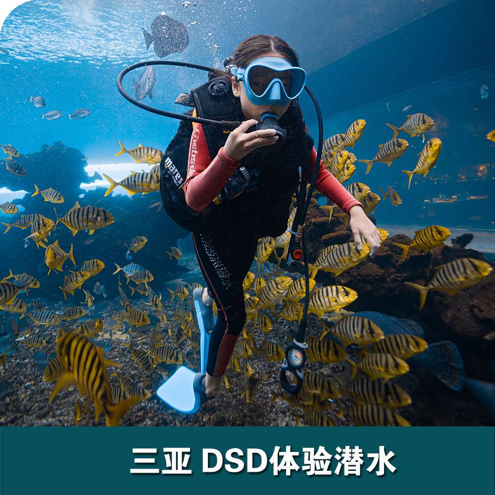 三亚洲际酒店DSD体验潜水