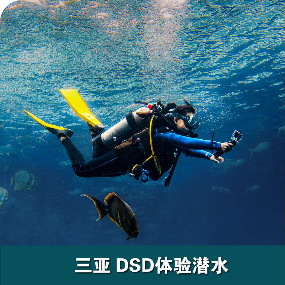 三亚洲际酒店DSD体验潜水
