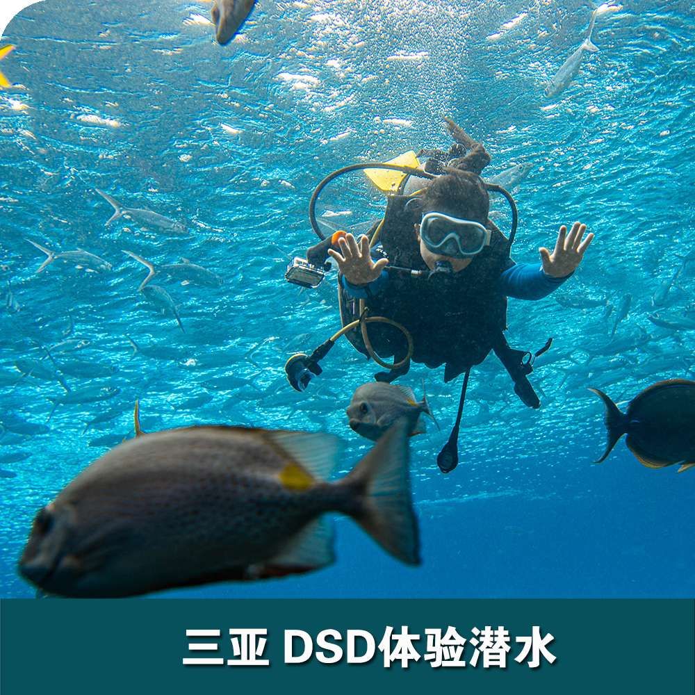 三亚洲际酒店DSD体验潜水