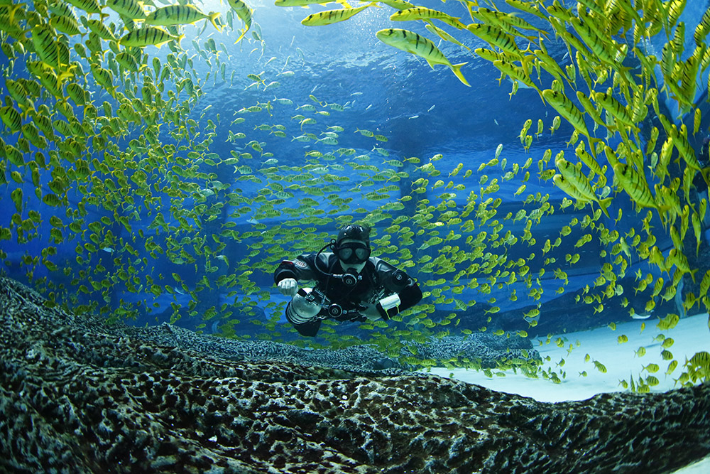 三亚海昌蒂铂海洋世界-水下拍摄基地