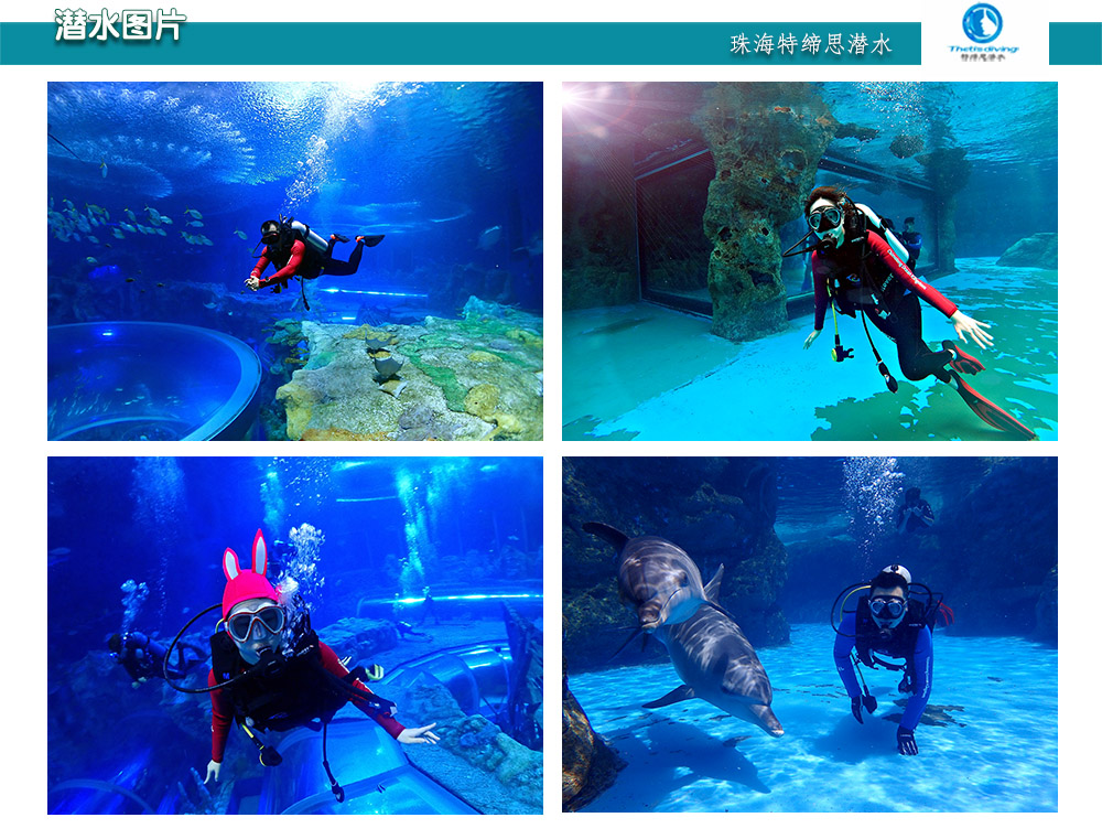 珠海长隆海豚岛体验潜水