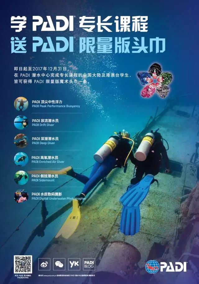 PADI 专长课程丨带给你探索海洋世界的无限可能